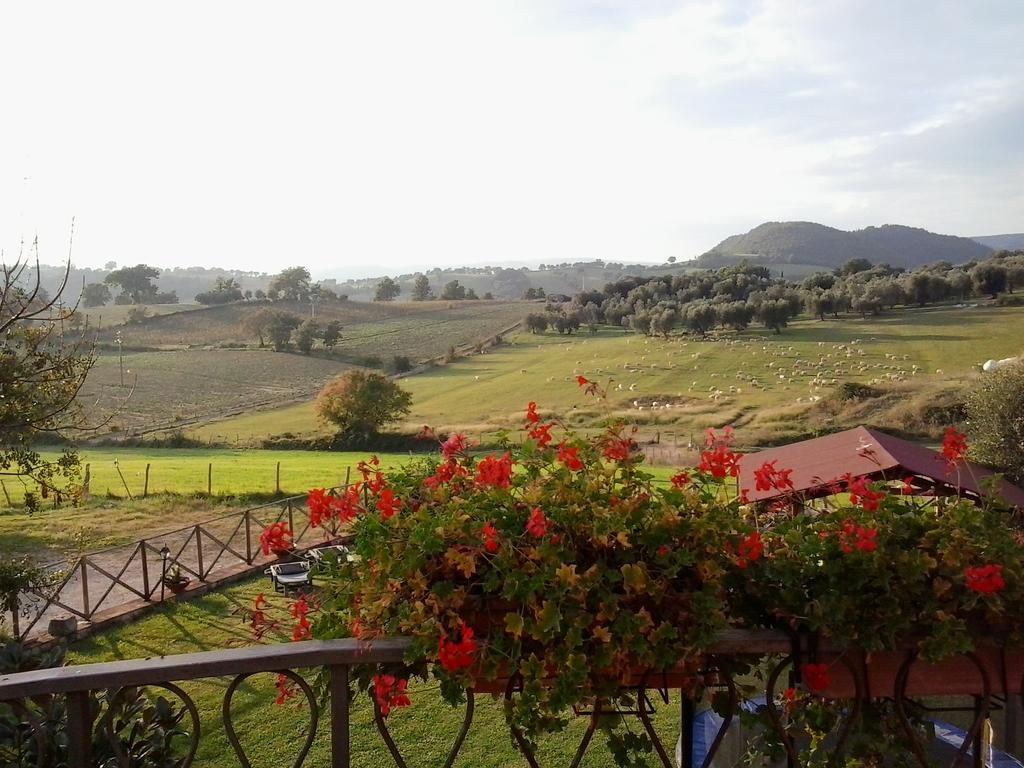Semproniano Agriturismo La Valle Degli Ulivi מראה חיצוני תמונה
