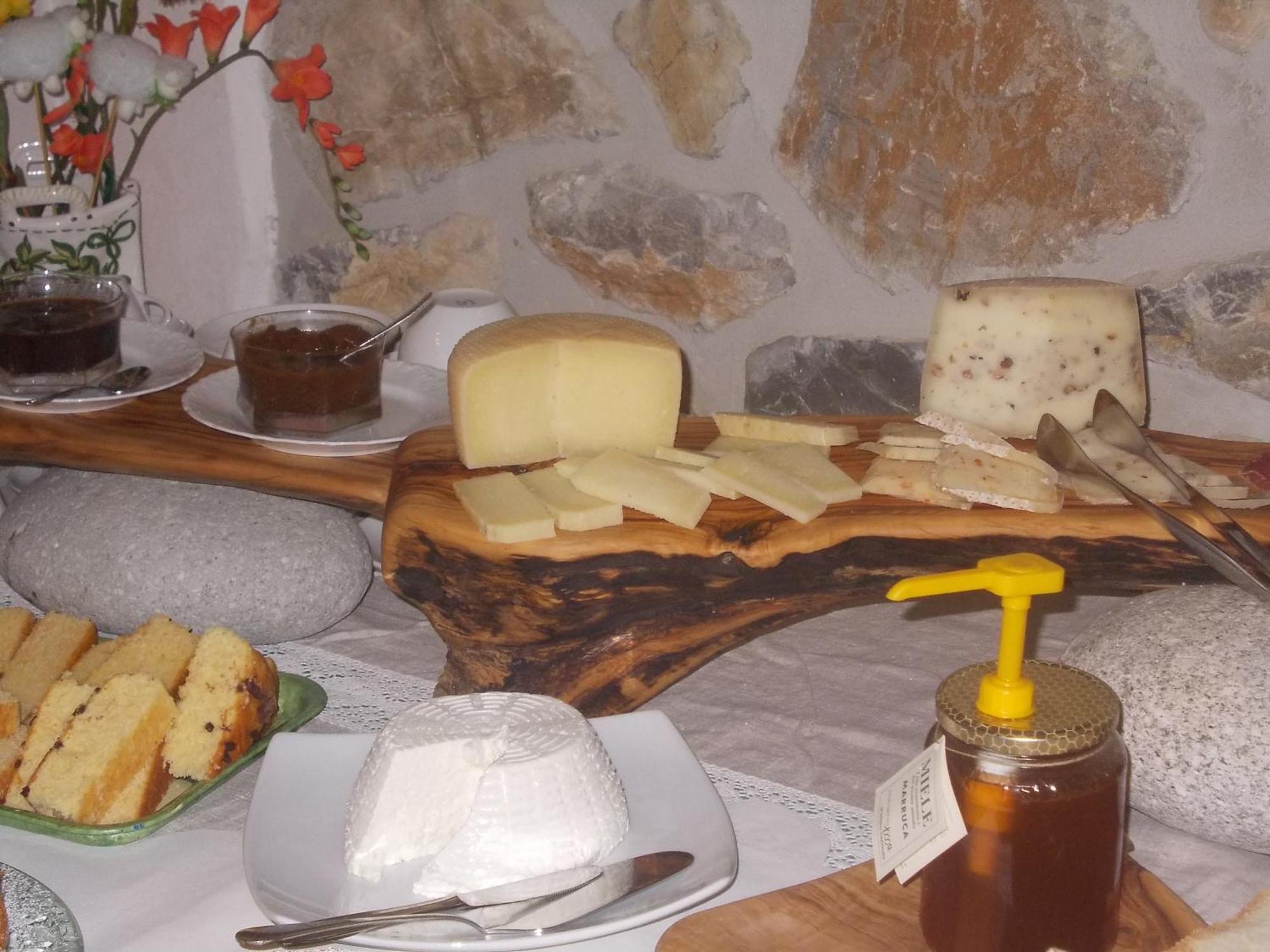 Semproniano Agriturismo La Valle Degli Ulivi מראה חיצוני תמונה