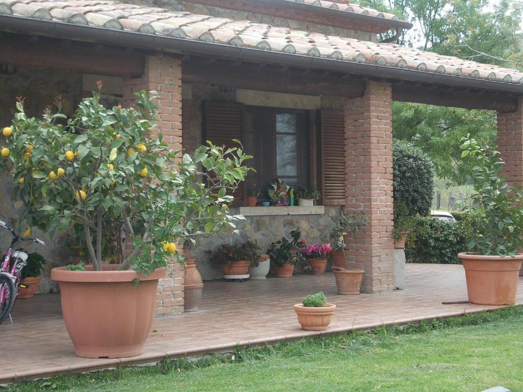 Semproniano Agriturismo La Valle Degli Ulivi מראה חיצוני תמונה