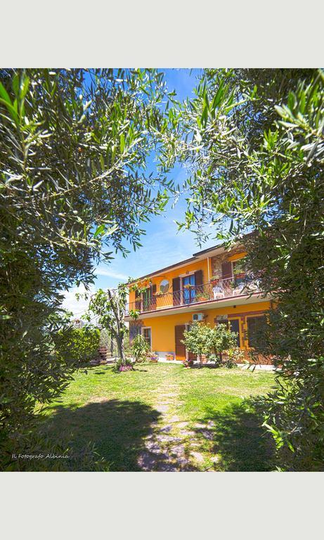 Semproniano Agriturismo La Valle Degli Ulivi מראה חיצוני תמונה