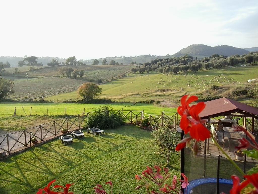 Semproniano Agriturismo La Valle Degli Ulivi מראה חיצוני תמונה
