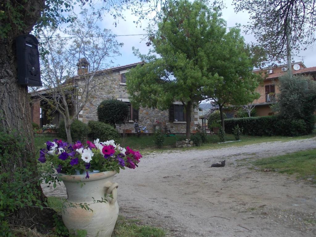 Semproniano Agriturismo La Valle Degli Ulivi מראה חיצוני תמונה
